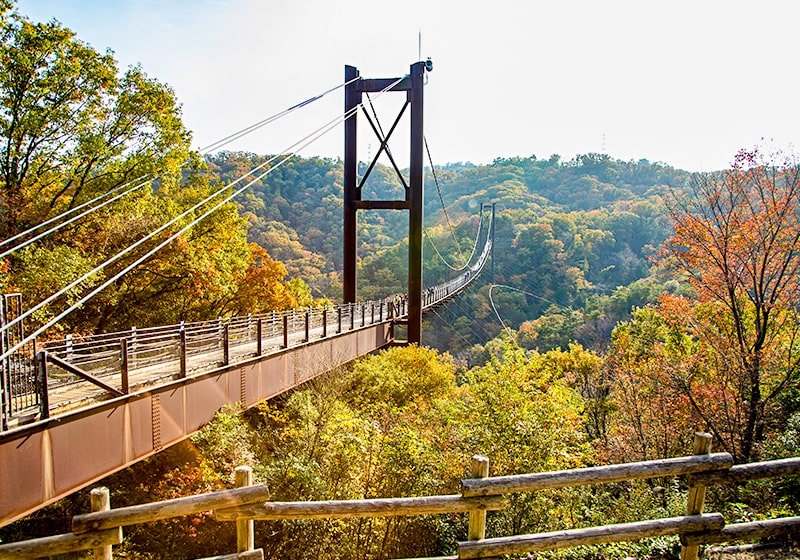 🌳 부민의 숲 호시다 공원(후민노모리 호시다엔치) 이미지 7